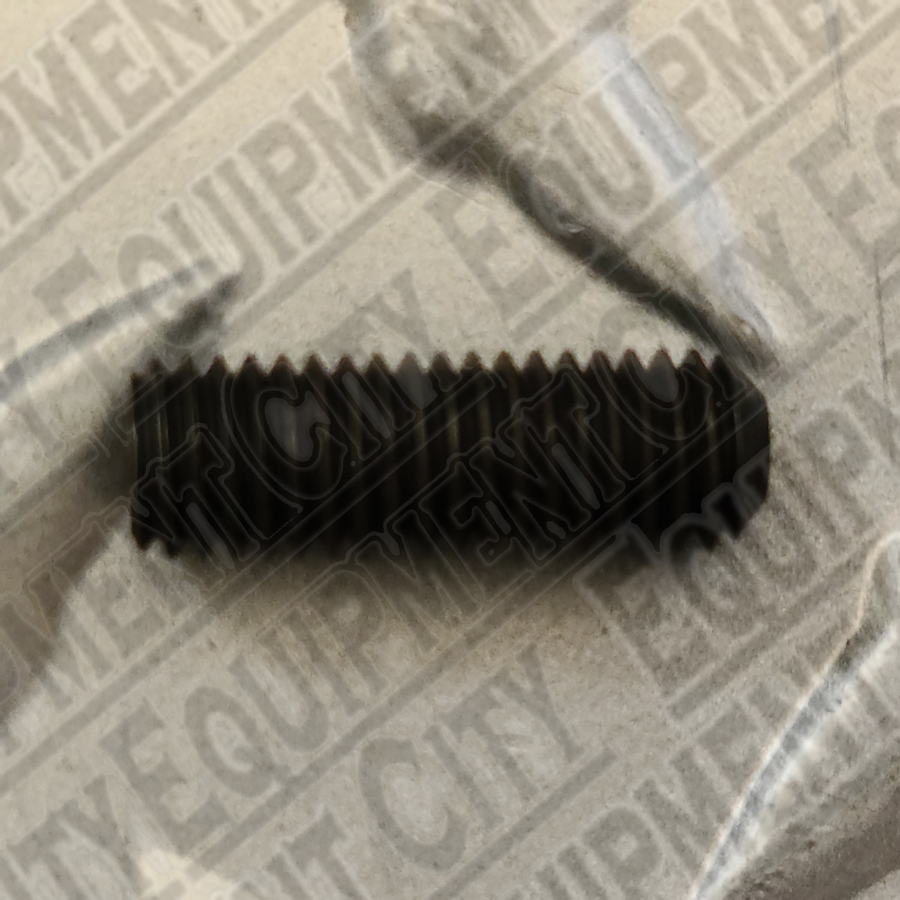 900900995  Corghi SET SCREW FOR TRANS SWIVEL CPL M6 X 20mm
