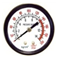 Rolair GA0250200BM2GC 1/4 inchesNPT,2 inchesDIAL,200PSI BACK MOUNT