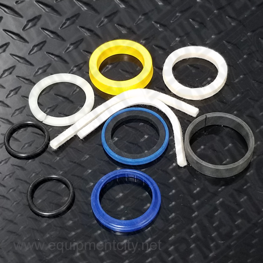 Rotary FJ783-12TH SEAL KIT