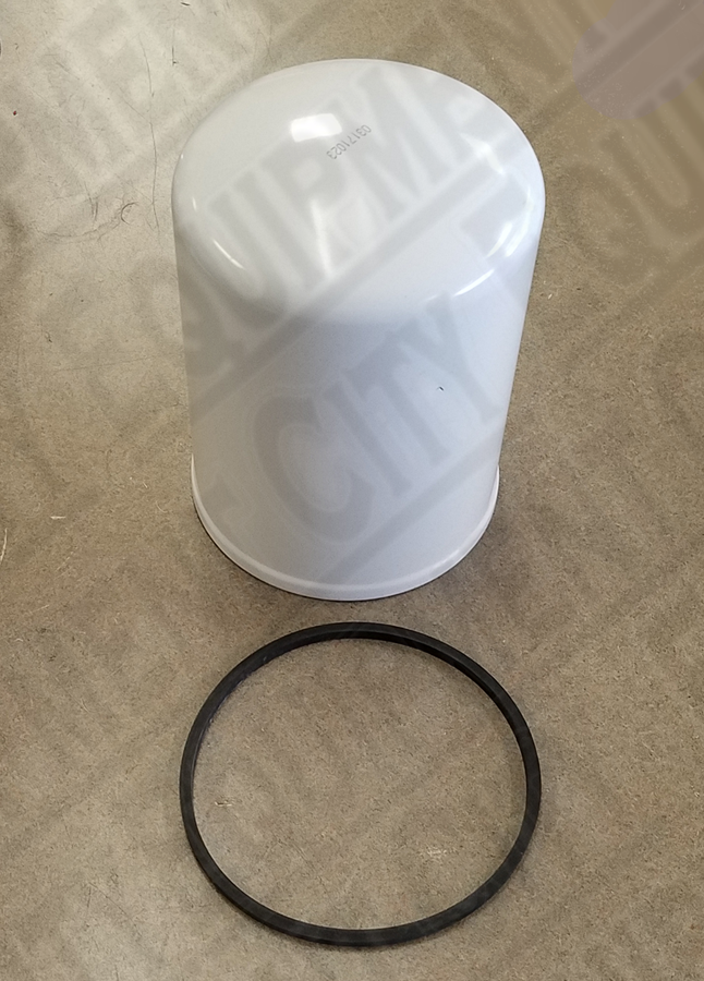Rotary Z140057 Y LIFT FILTER