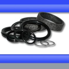 Rotary 991281 SEAL KIT FOR 2POST FWD LIFT